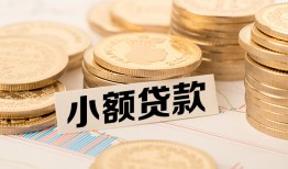 北京25哪里有小额贷款-北京25身份证贷款平台-北京25民间短借